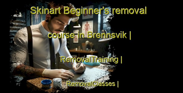 Skinart Beginner's removal course in Brennsvik | RemovalTraining | RemovalClasses | SkinartTraining-Norway